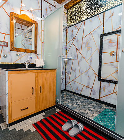 Luxurious Washroom